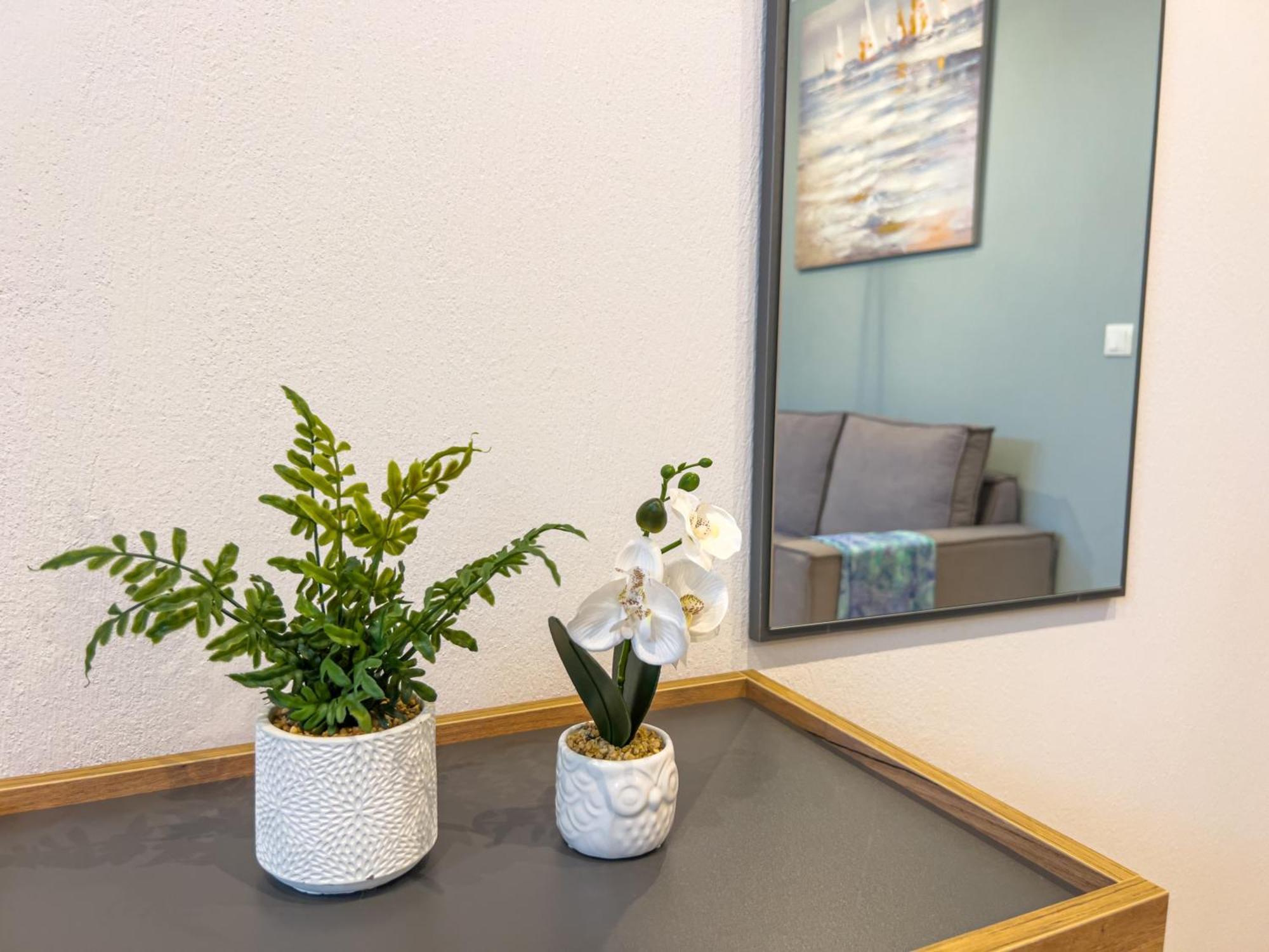 B Cozy Appartement